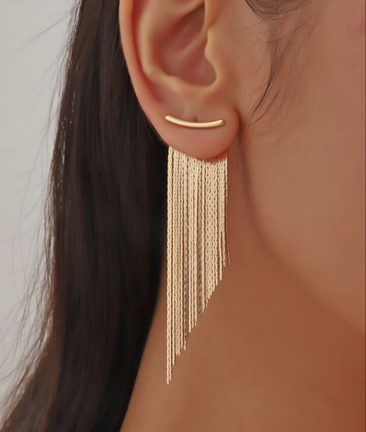 Elegant Fringe Tassle Earrings
